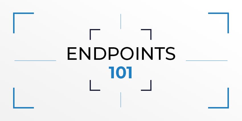 Endpoints 101 - Navigating Your Way Around the Market