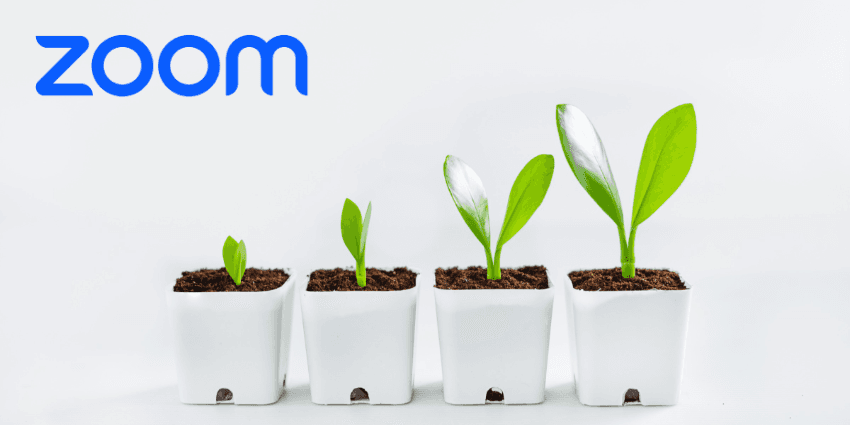 Zoom Reports Q1 Growth Despite Lay-Offs