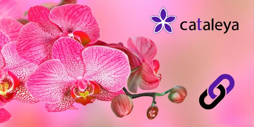 Why Is SIP Security Important? Cataleya Demystifies Its Velona Certification