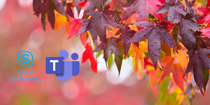 Out Loud: September Microsoft Collaboration Update
