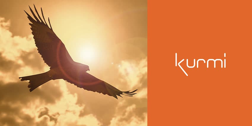 SaaS: Channel Partners Hailed as Drivers of Soaring UC Adoption