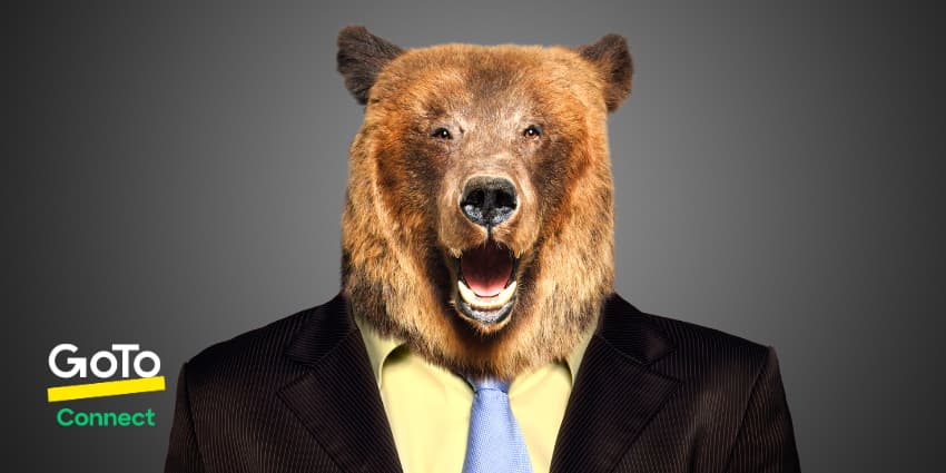 The Goldilocks Factor: Why Your Growing Business Needs a 'Just Right' Contact Center Solution